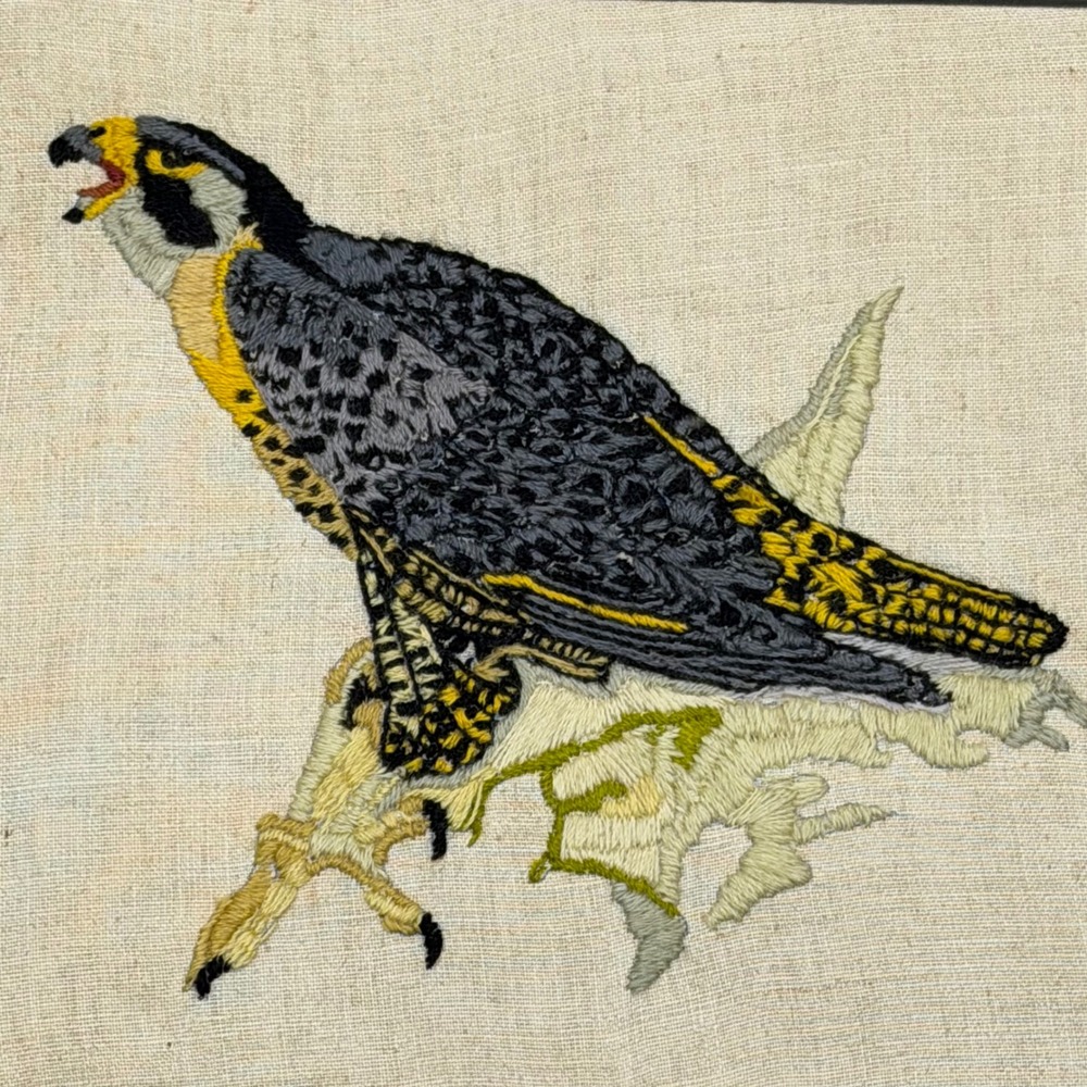 Vintage Crewel Embroidered Bird Wall Art Framed 18x15" Handmade on Textile Print
